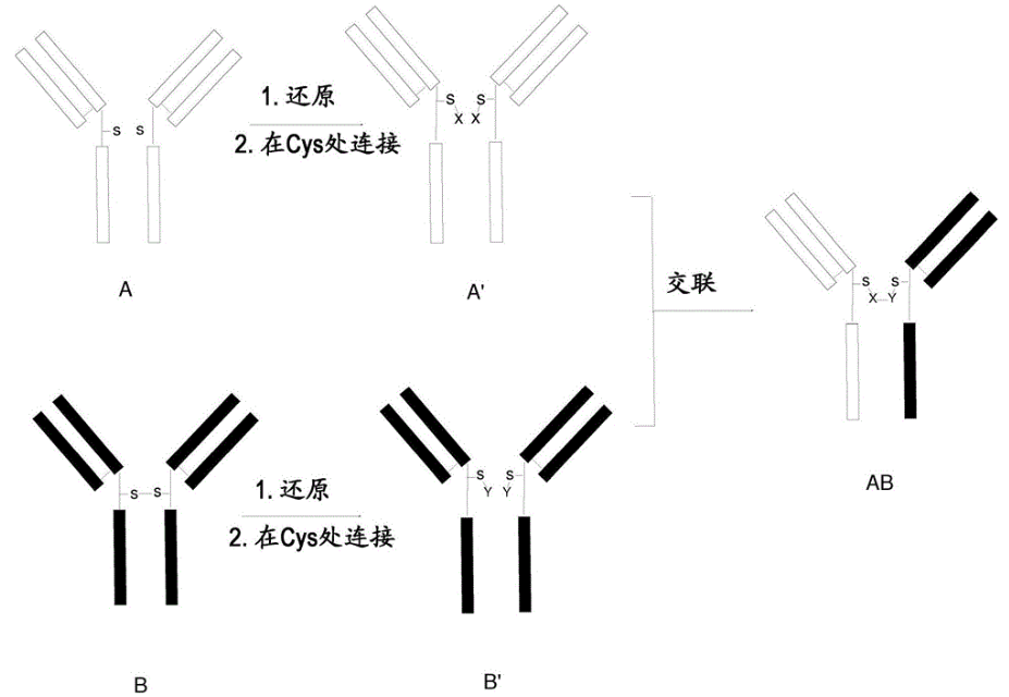 图7.png 图7.png