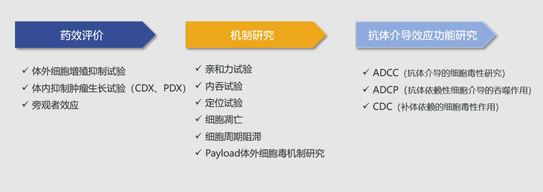 5.png 5.png