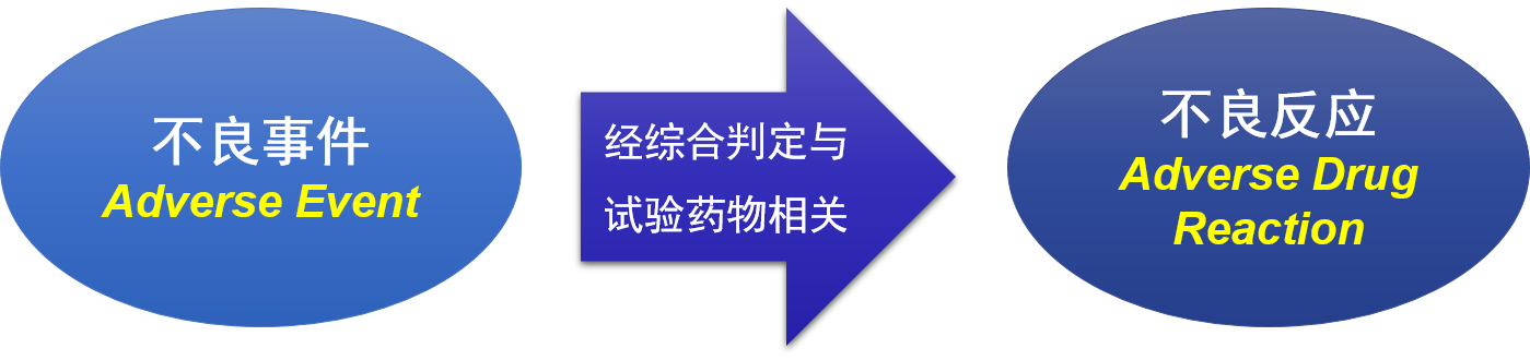 2.png 2.png