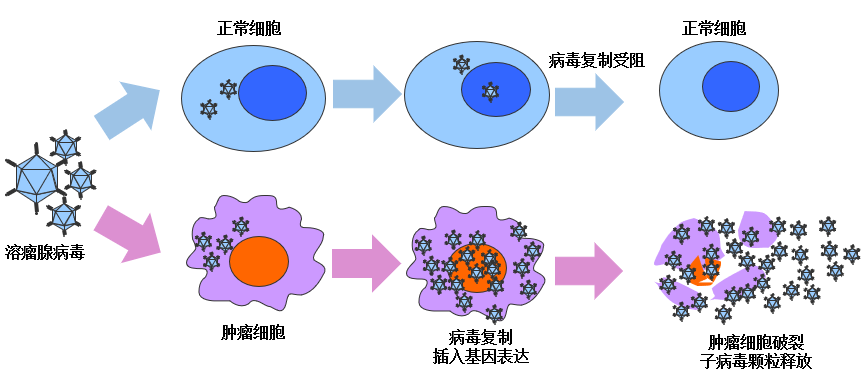 微信图片_20231016114552_1.png 微信图片_20231016114552_1.png