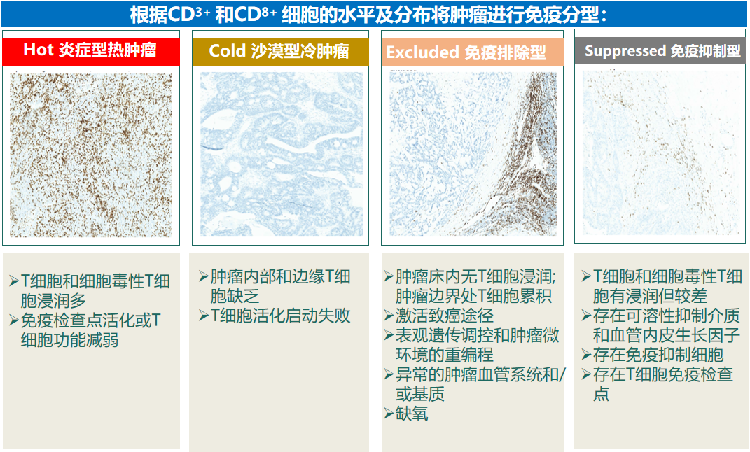 图E.png